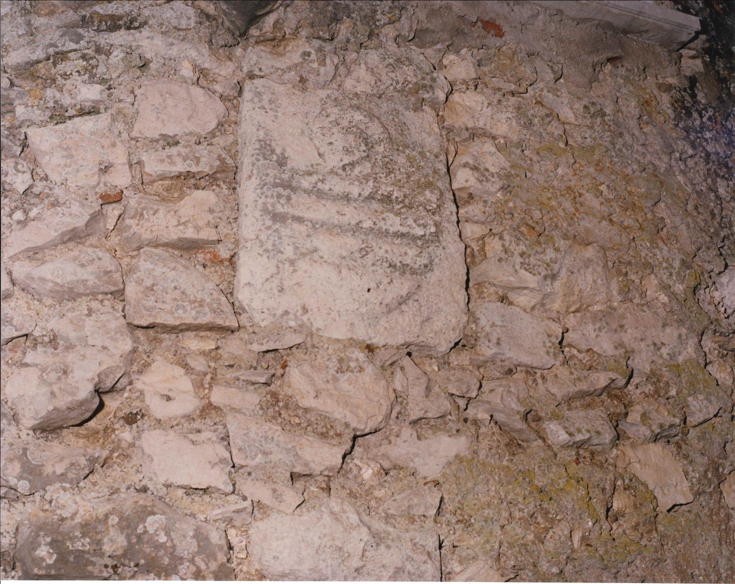 Stemma della famiglia Carafa